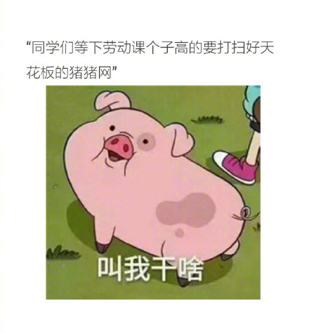 101604bo757bwln9b7llko.jpg