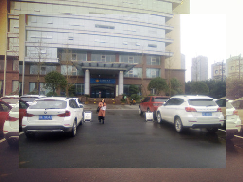 到自贡税务机关办事