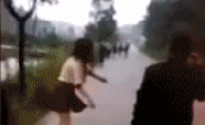 汽车自焰1.gif