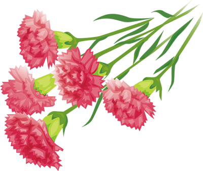 9b40d0fffe738c5f1a1418f10e290392.png