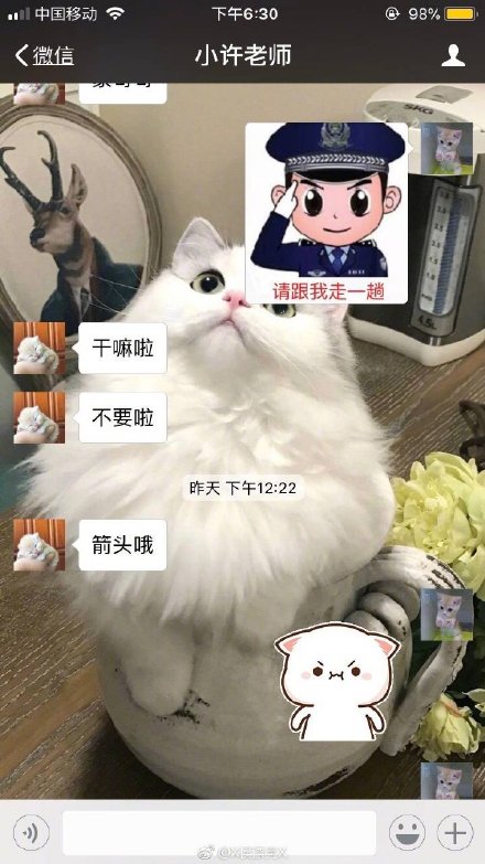 104637gcddcrvfvpiqd7dz.jpg