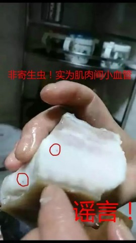 095629djqt2utbtswwotj1.jpg.thumb.jpg