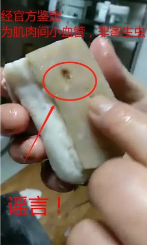 095618vbuipci2px3ceqjz.jpg.thumb.jpg