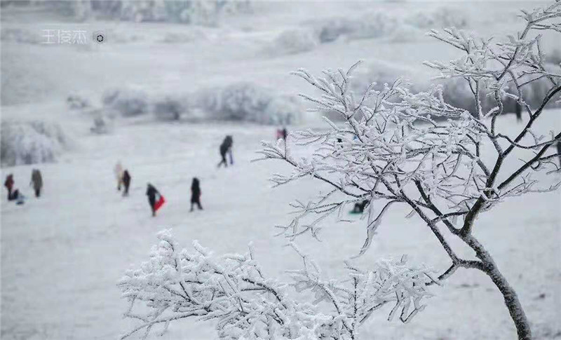 图片5.jpg