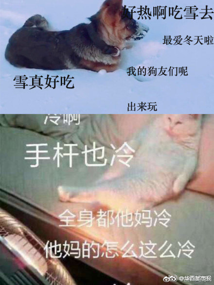 083737quul1yvhjlglkj5l.jpg