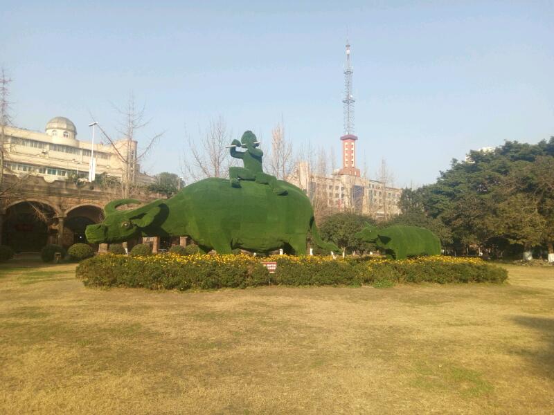 IMG_20181222_103129.jpeg