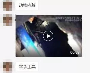 095223qzkuia4sfpibfipp.jpg.thumb.jpg