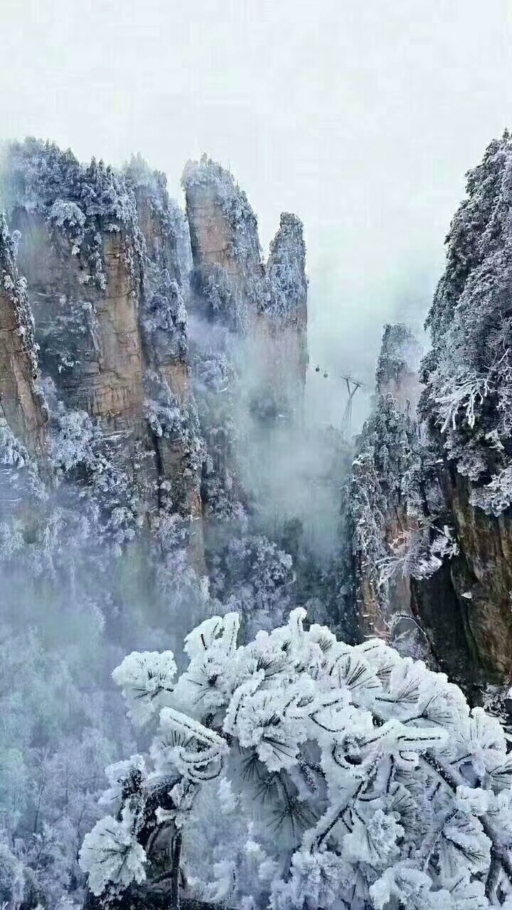 QQ图片20190104130646.jpg