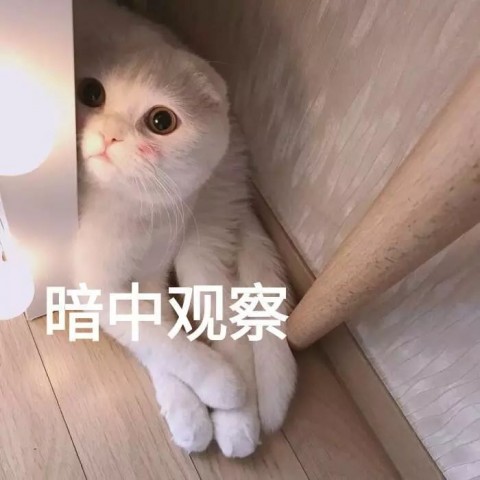 091720q97hcdcuh6gfqxcf.jpg.thumb.jpg