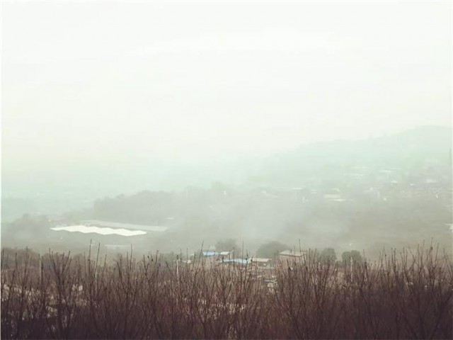 213711q6rye9rs4y2q71nu.jpg.thumb.jpg