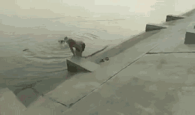 640?wx_fmt=gif.jpg