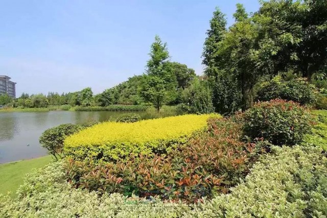 144905n2d29ao6zi8r84ri.jpg.thumb.jpg