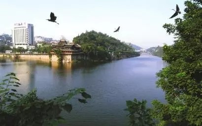 090654b6pna5lcd59hg9i6.jpg.thumb.jpg