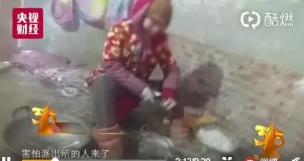 101507tsqww9khklygkasq.jpg.thumb.jpg