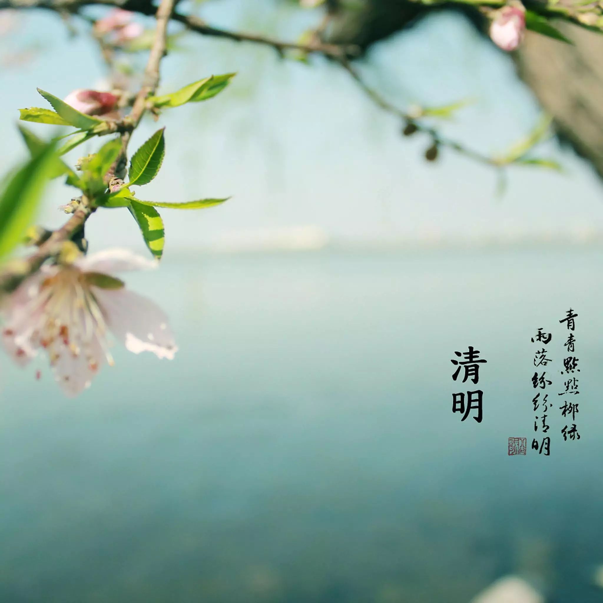 ff5b1a337345f82f18276def23e2a6f9.jpg