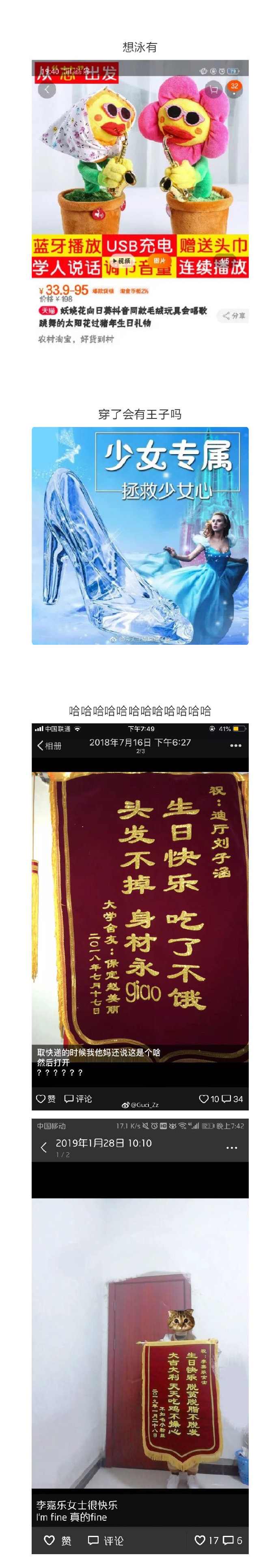 093205csoczfesefg3clh3.jpg