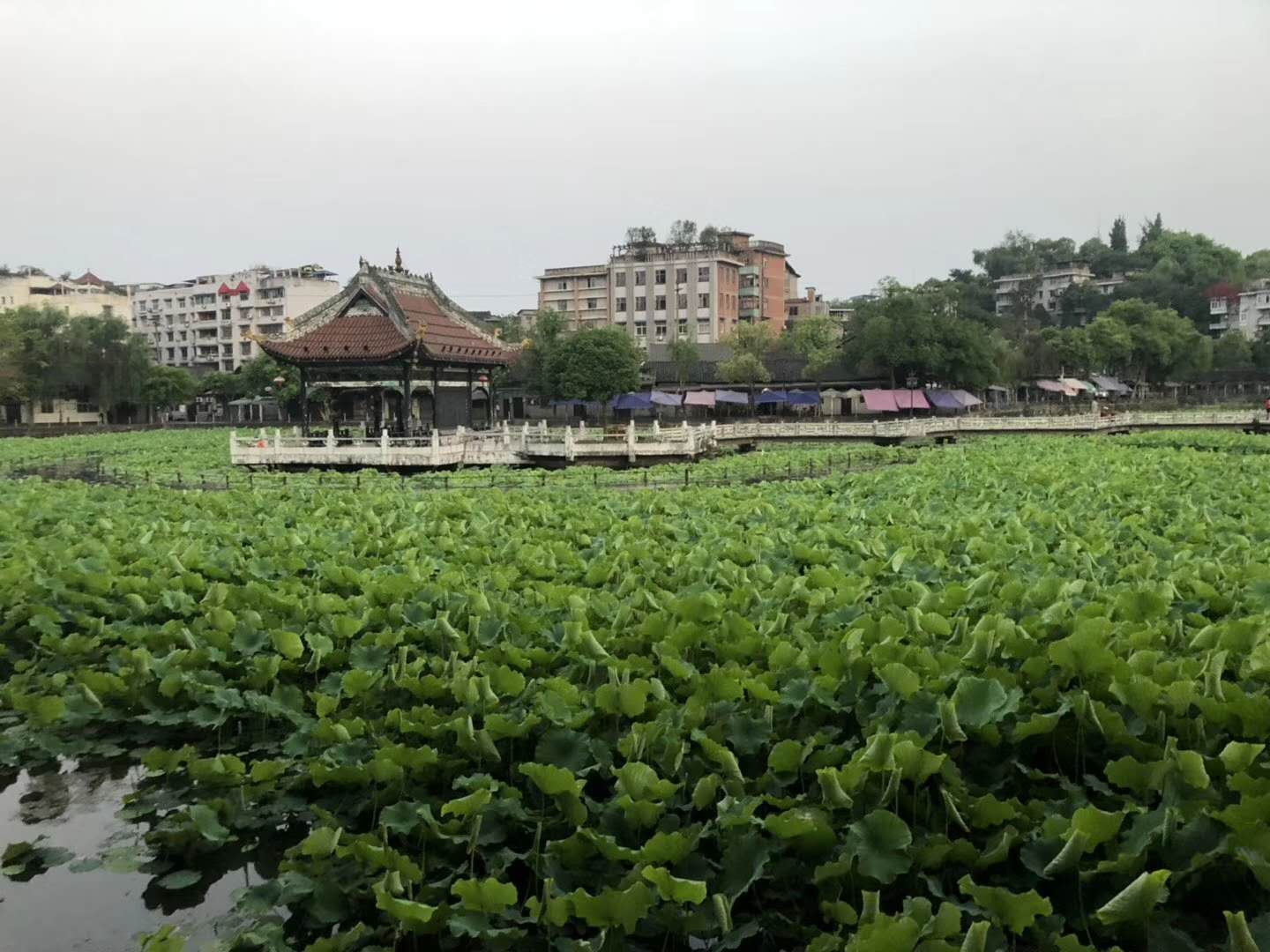 清晨的富顺西湖