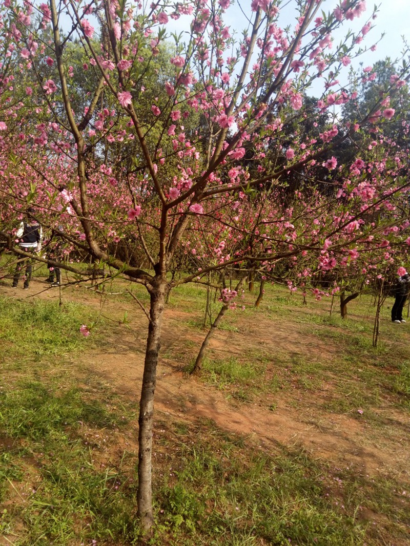 conew_img_20190324_160741.jpg