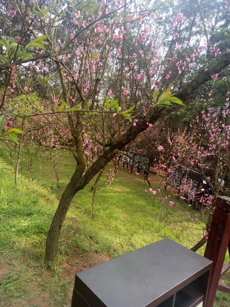 conew_img_20190324_160822.jpg