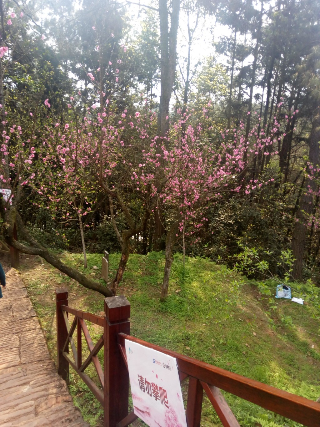 conew_img_20190324_160828.jpg