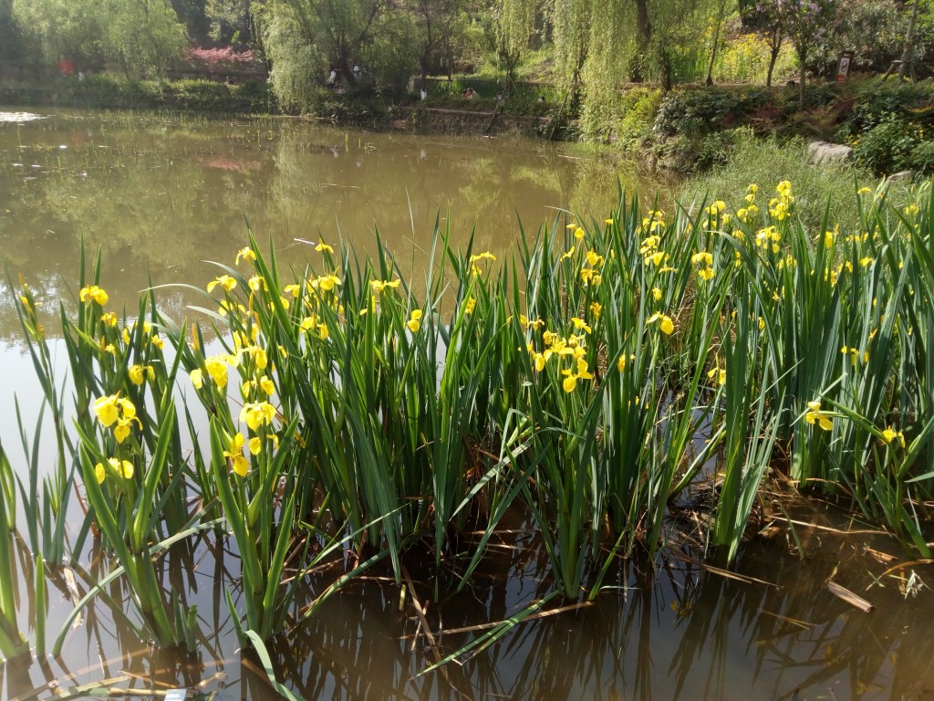 conew_img_20190405_095745.jpg