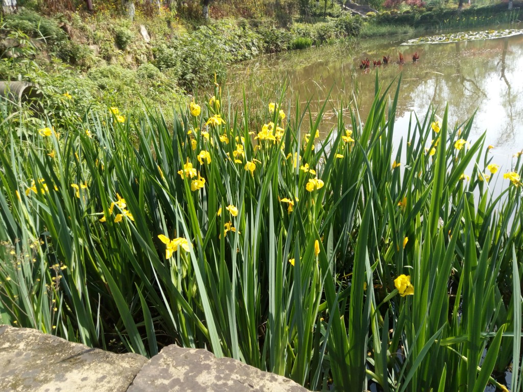 conew_img_20190405_095726.jpg