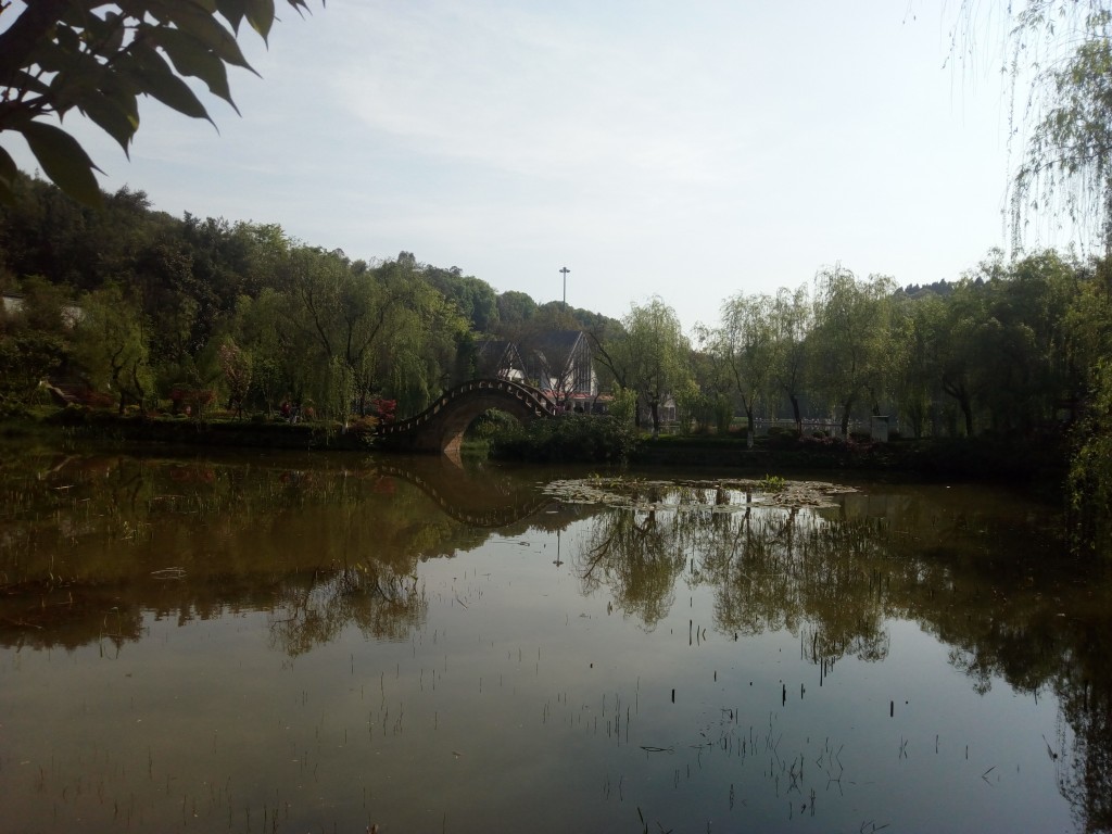 conew_img_20190405_095949.jpg