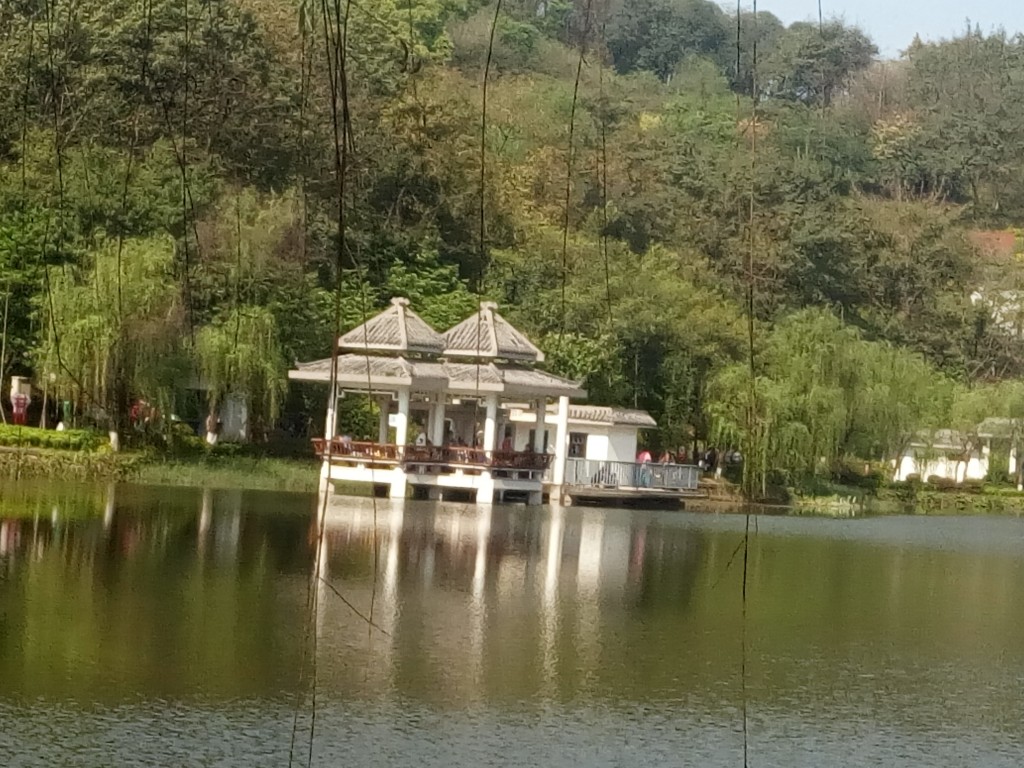 conew_img_20190405_101742.jpg