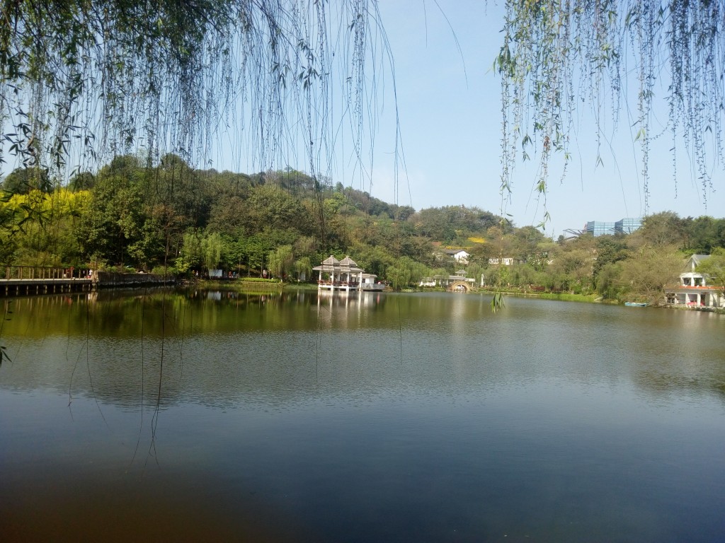 conew_img_20190405_101750.jpg