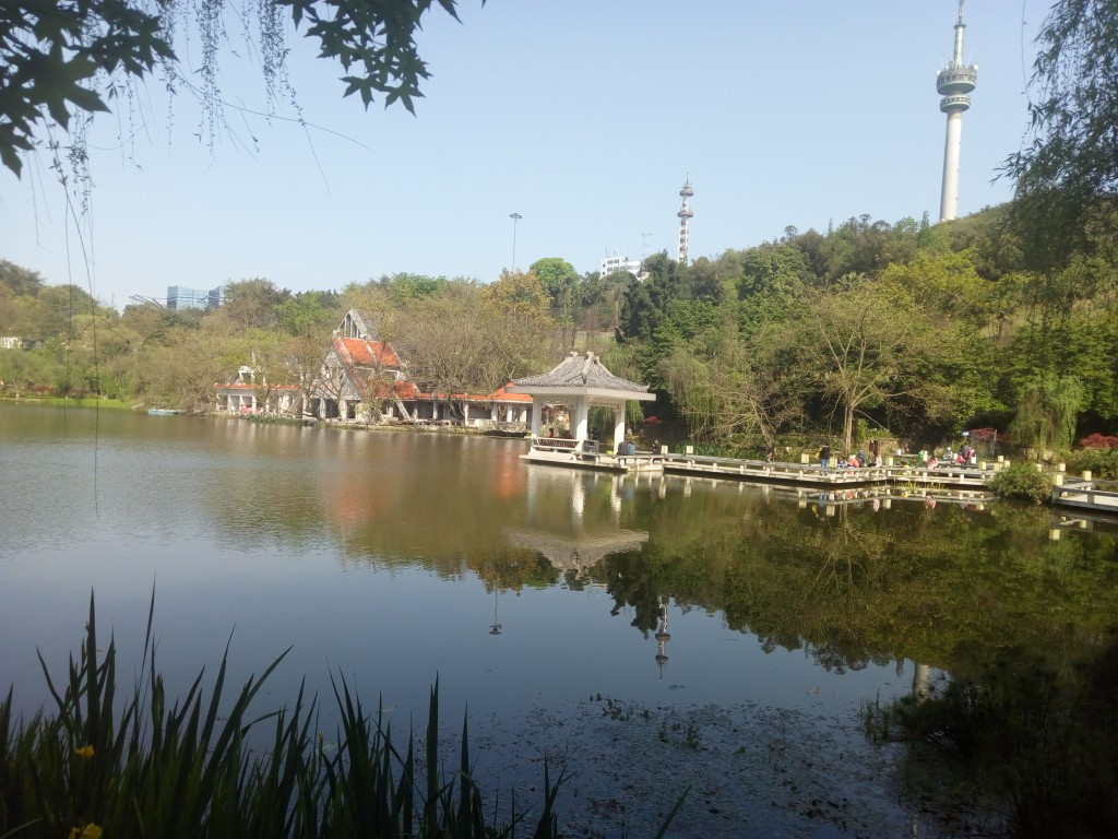 conew_img_20190405_101825.jpg