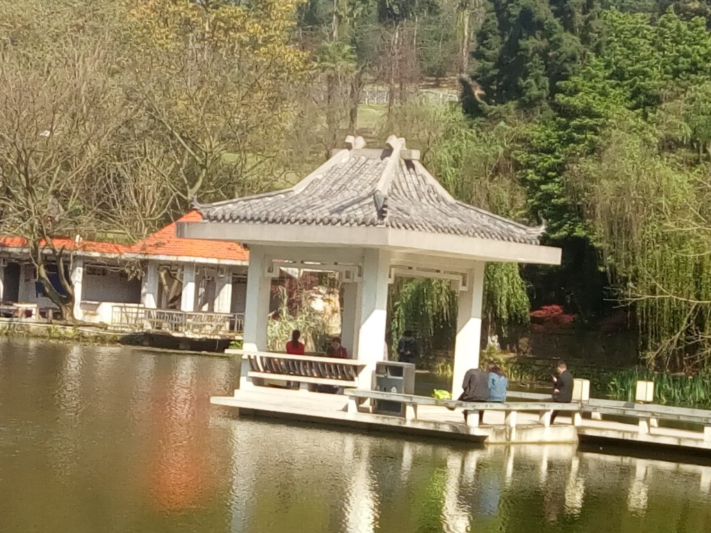 conew_img_20190405_101832.jpg