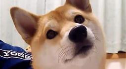 u=2383620450,449742033&amp;fm=26&amp;gp=0.jpg
