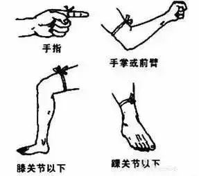 8fa268d7c2ca2d23fb039a81b2f66b5f.jpg