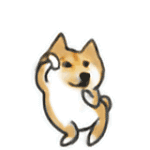 timg (5).gif