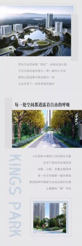 092534x00v8fylv8x2l2x2.jpg.thumb.jpg