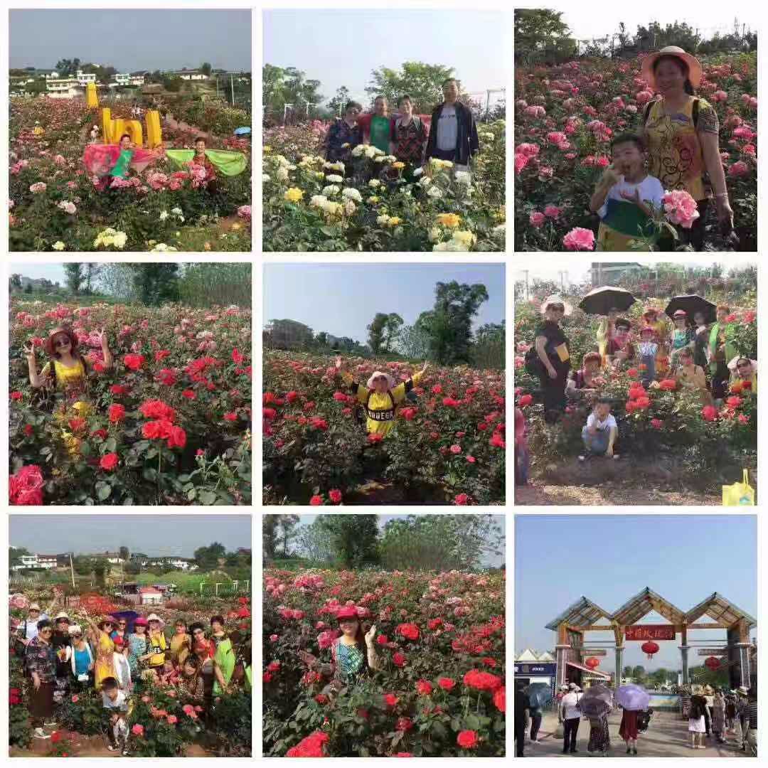 5d1eaeccc6438fa6bf66336cd76d3774.jpg