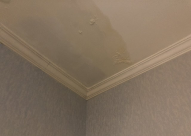 173834ry706c51km7e8dlv.jpg.thumb.jpg