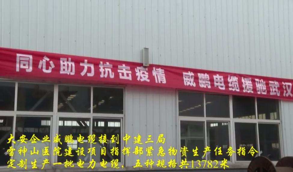 大安电缆厂支援武汉.png