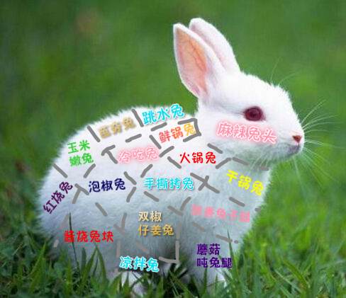兔子的做法.png