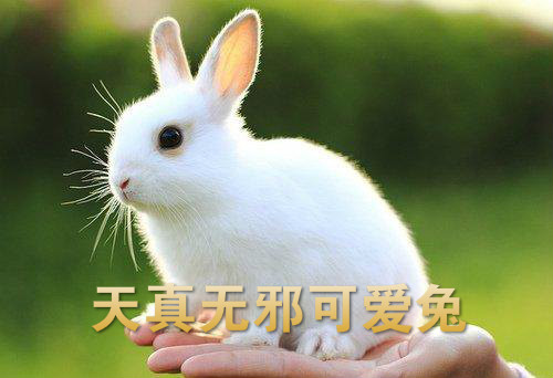 u=2454949894,3694677386&amp;fm=26&amp;gp=0_meitu_10.jpg