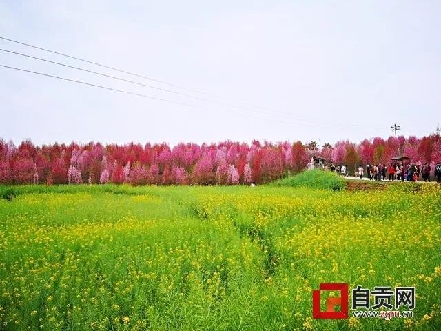 104907izeiine1oieeufr1.jpg.thumb.jpg