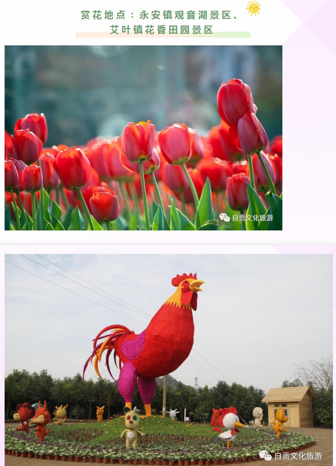 1584518460058.jpg