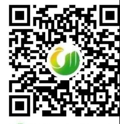 1584850731900673.jpg
