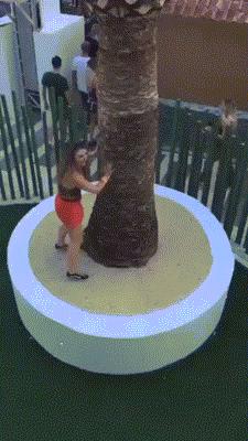 150903msbj7sfzfzyffobf.jpg