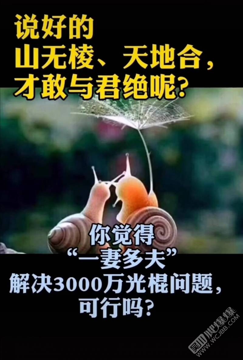 141915gq06bukbr0rr9ook.jpg