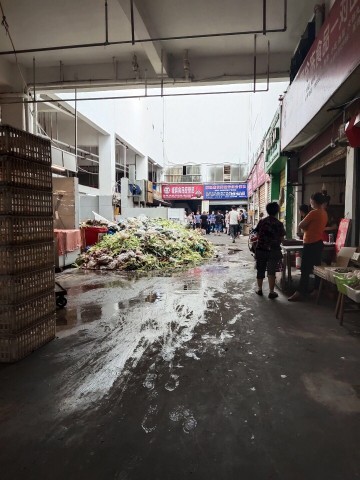 163751lg0ngogf0aeqfgle.jpg.thumb.jpg