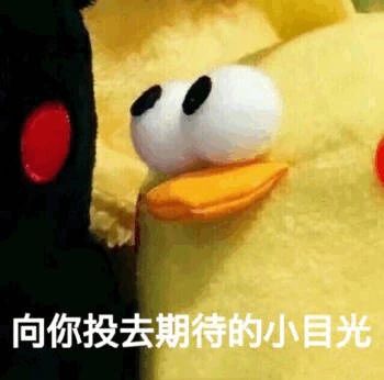 97d26cdd80b673c6c57f7724dd9120b5.jpg