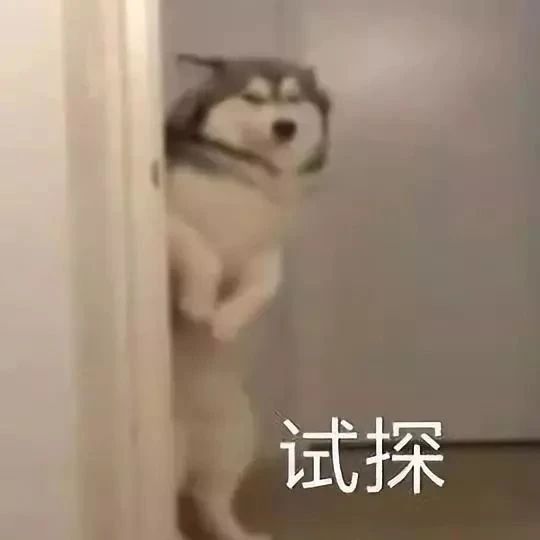 e98610704d0625560d8d43d2fb91a6c7.jpg