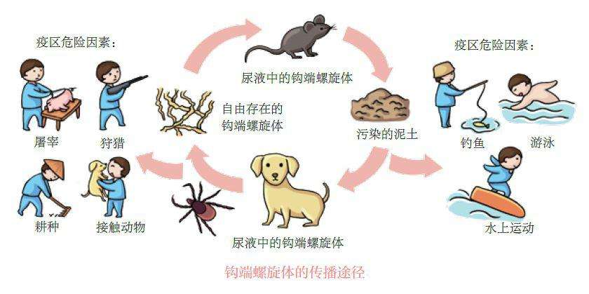 警惕！自贡进入“打谷黄”高发季节-1.png