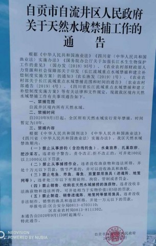 今日起， 自流井区天然水域禁渔十年！-1.jpg
